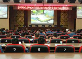 瀘天化黨委召開(kāi)支部書(shū)記例會(huì)部署“大學(xué)習(xí) 大調(diào)研 大落實(shí)”活動(dòng)