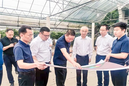 瀘州市委常委、組織部長(zhǎng)曹斌率隊(duì)調(diào)研瀘天化納溪現(xiàn)代農(nóng)業(yè)種植園項(xiàng)目