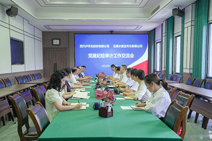 云南水富云天化有限公司到我公司開展黨建紀(jì)檢審計工作經(jīng)驗交流